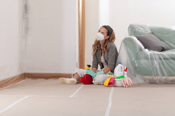 Reliable Mold Inspection And Testing contractor in Woodland, WA by Car Mold Remediation
